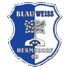 SV Blau-Weiß Hermsdorf VS SV Blau-Weiss 90 Jersleben (2018-03-11 14:00)
